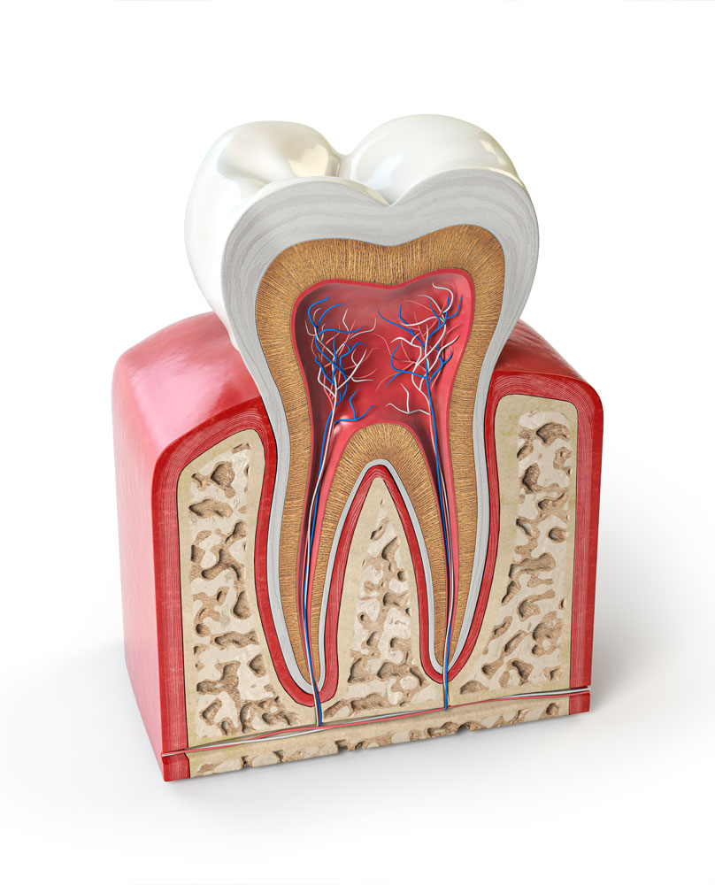 Endodontics & RootCanal